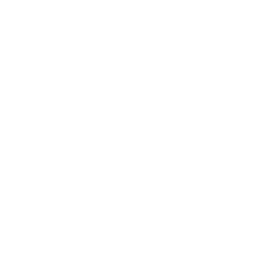 Website Development icon
