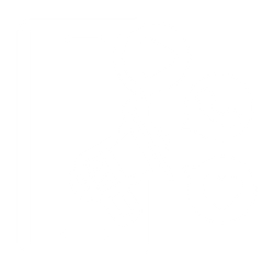 Digital Marketing icon